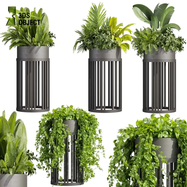 3d model plant pot free Monstera banana bush pothos palm purchase 3D architectural visualization cinema 4d 3ds max blender enscpae fbx obj Rhino Sketchup