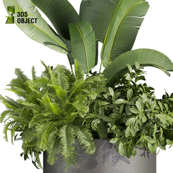 3d model plant pot free Monstera banana bush pothos palm purchase 3D architectural visualization cinema 4d 3ds max blender enscpae fbx obj Rhino Sketchup