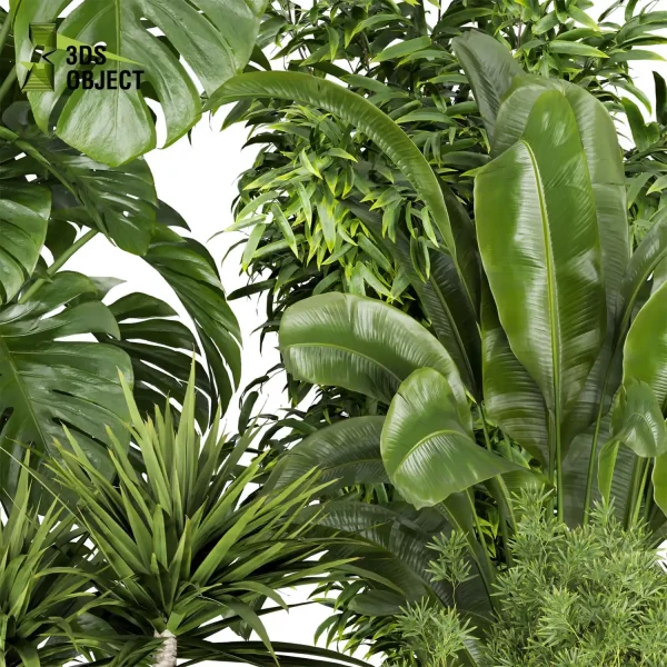 3d model plant pot free Aspidistra banana dracena monstera decorative flowerpot purchase