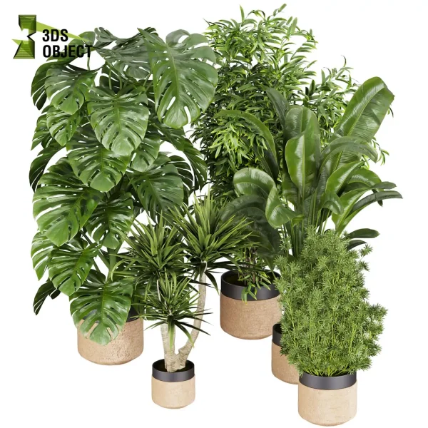 3d model plant pot free Aspidistra banana dracena monstera decorative flowerpot purchase