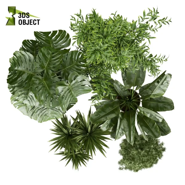 3d model plant pot free Aspidistra banana dracena monstera decorative flowerpot purchase