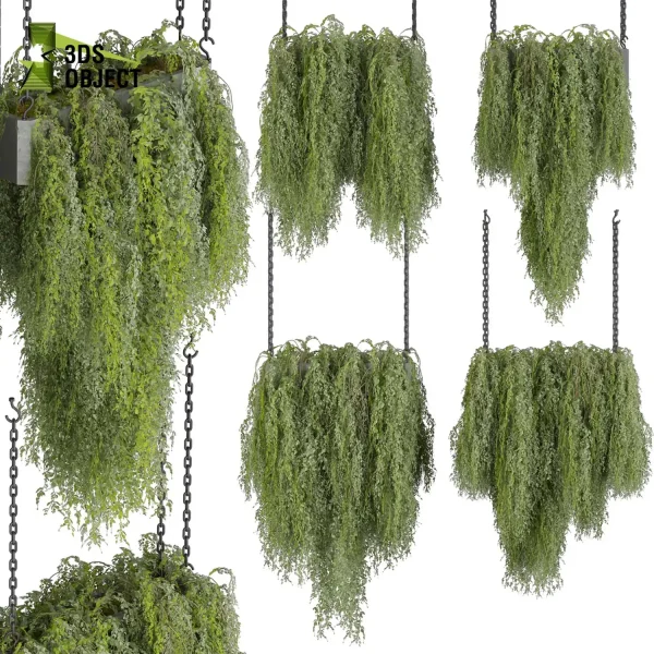 3d model plant hanging free Botanical Models ivy 3D architectural visualization buy purchase 3D Plant Library Plant Design Software Plant Visualization Garden Design Software Plant Modeling Botanical Rendering Plant Creation Digital Hanging Plants cinema 4d 3ds max blender enscape fbx obj Rhino Sketchup lumion