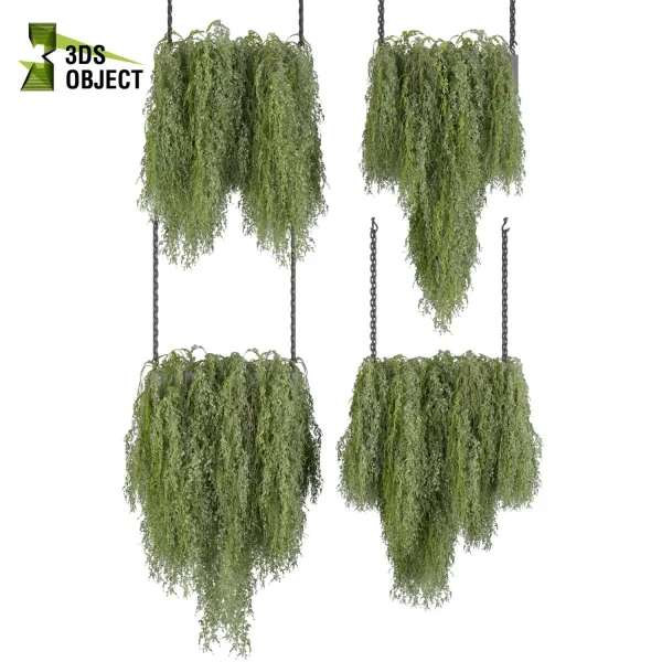 3d model plant hanging free Botanical Models ivy 3D architectural visualization buy purchase 3D Plant Library Plant Design Software Plant Visualization Garden Design Software Plant Modeling Botanical Rendering Plant Creation Digital Hanging Plants cinema 4d 3ds max blender enscape fbx obj Rhino Sketchup lumion