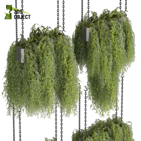 3d model plant hanging free Botanical Models ivy 3D architectural visualization buy purchase 3D Plant Library Plant Design Software Plant Visualization Garden Design Software Plant Modeling Botanical Rendering Plant Creation Digital Hanging Plants cinema 4d 3ds max blender enscape fbx obj Rhino Sketchup lumion
