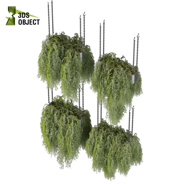 3d model plant hanging free Botanical Models ivy 3D architectural visualization buy purchase 3D Plant Library Plant Design Software Plant Visualization Garden Design Software Plant Modeling Botanical Rendering Plant Creation Digital Hanging Plants cinema 4d 3ds max blender enscape fbx obj Rhino Sketchup lumion