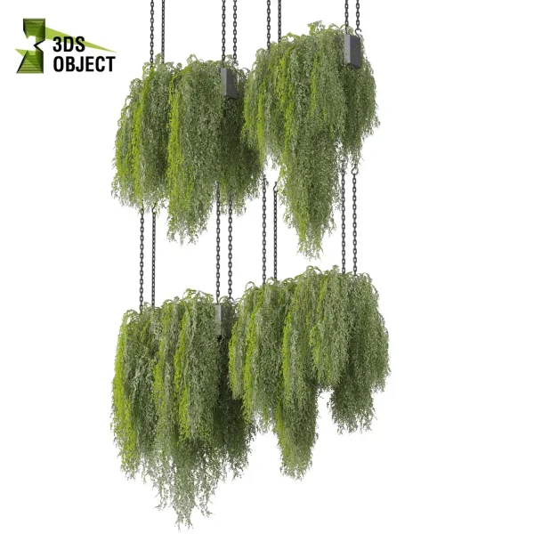 3d model plant hanging free Botanical Models ivy 3D architectural visualization buy purchase 3D Plant Library Plant Design Software Plant Visualization Garden Design Software Plant Modeling Botanical Rendering Plant Creation Digital Hanging Plants cinema 4d 3ds max blender enscape fbx obj Rhino Sketchup lumion