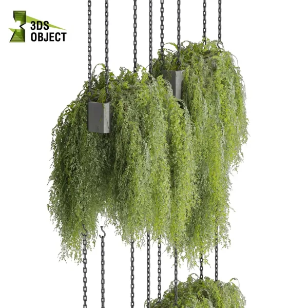3d model plant hanging free Botanical Models ivy 3D architectural visualization buy purchase 3D Plant Library Plant Design Software Plant Visualization Garden Design Software Plant Modeling Botanical Rendering Plant Creation Digital Hanging Plants cinema 4d 3ds max blender enscape fbx obj Rhino Sketchup lumion