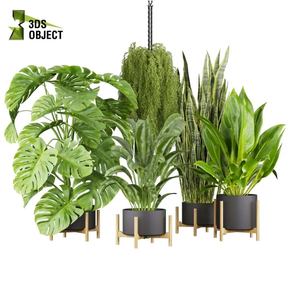 3d model plant pot free Banana peace lily sansveria monstera deliciosa Swiss cheese houseplant flowerpot architectural visualization purchase cinema 4d 3ds max blender enscpae fbx obj Rhino Sketchup