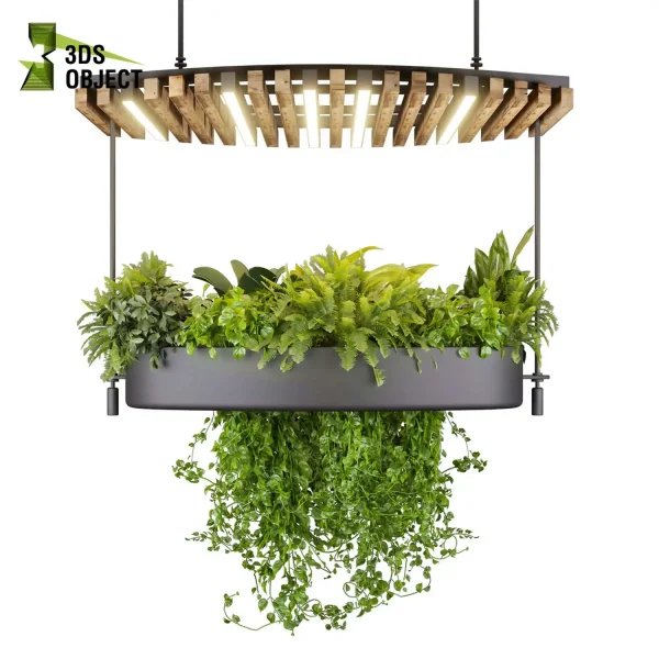 3d model plant hanging free Botanical Models bush banana pothos fern 3D Tree Generator Landscape Design Software Foliage Rendering Digital Landscaping 3D Plant Creation Virtual Garden Design Botanical Simulation Plant Visualization Vegetation Modeling cinema 4d 3ds max blender enscape fbx obj Rhino Sketchup lumion