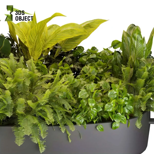 3d model plant hanging free Botanical Models bush banana pothos fern 3D Tree Generator Landscape Design Software Foliage Rendering Digital Landscaping 3D Plant Creation Virtual Garden Design Botanical Simulation Plant Visualization Vegetation Modeling cinema 4d 3ds max blender enscape fbx obj Rhino Sketchup lumion