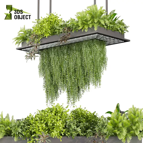 3d model plant hanging free Botanical Models bush banana peace lily fern ivy lavender Flora Objects Tree Models Shrubbery Assets Grass Models Flower Models 3D Garden Assets Landscape Vegetation 3D Plant Library cinema 4d 3ds max blender enscape fbx obj Rhino Sketchup lumion