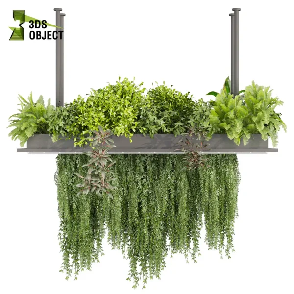 3d model plant hanging free Botanical Models bush banana peace lily fern ivy lavender Flora Objects Tree Models Shrubbery Assets Grass Models Flower Models 3D Garden Assets Landscape Vegetation 3D Plant Library cinema 4d 3ds max blender enscape fbx obj Rhino Sketchup lumion