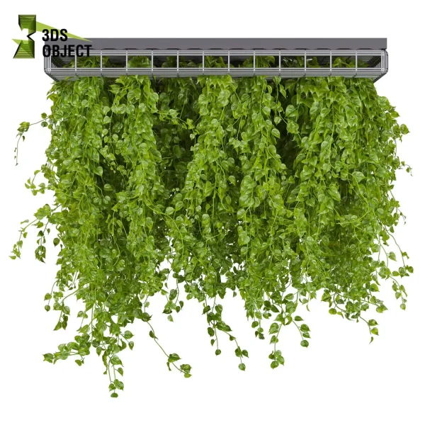 3d model plant hanging free Botanical Models pothos false ceilingtileable ampelous hanging purchase 3D Vegetation Plant Models Foliage Assets Botanical Models Greenery Assets Flora Objects Tree Models Shrubbery Assets Grass Models Flower Models 3D Garden Assets Landscape Vegetation 3D Plant Library cinema 4d 3ds max blender enscape fbx obj Rhino Sketchup lumion