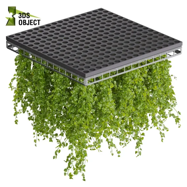 3d model plant hanging free Botanical Models pothos false ceilingtileable ampelous hanging purchase 3D Vegetation Plant Models Foliage Assets Botanical Models Greenery Assets Flora Objects Tree Models Shrubbery Assets Grass Models Flower Models 3D Garden Assets Landscape Vegetation 3D Plant Library cinema 4d 3ds max blender enscape fbx obj Rhino Sketchup lumion