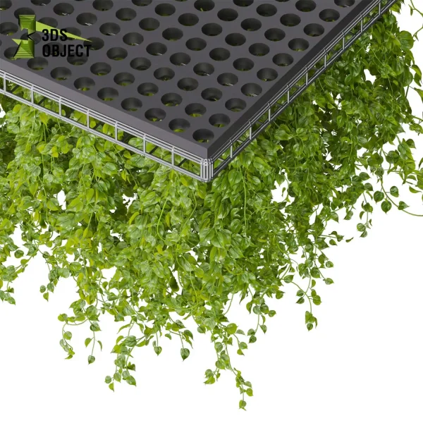 3d model plant hanging free Botanical Models pothos false ceilingtileable ampelous hanging purchase 3D Vegetation Plant Models Foliage Assets Botanical Models Greenery Assets Flora Objects Tree Models Shrubbery Assets Grass Models Flower Models 3D Garden Assets Landscape Vegetation 3D Plant Library cinema 4d 3ds max blender enscape fbx obj Rhino Sketchup lumion