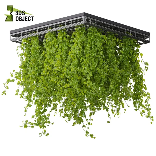 3d model plant hanging free Botanical Models pothos false ceilingtileable ampelous hanging purchase 3D Vegetation Plant Models Foliage Assets Botanical Models Greenery Assets Flora Objects Tree Models Shrubbery Assets Grass Models Flower Models 3D Garden Assets Landscape Vegetation 3D Plant Library cinema 4d 3ds max blender enscape fbx obj Rhino Sketchup lumion