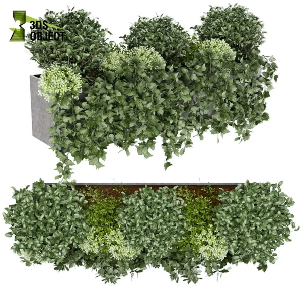 3d model plant free Vegetation tree box Foliage Hedera bush ivy flower 3D Tree Generator Landscape Design Software Foliage Rendering Digital Landscaping 3D Plant Creation cinema 4d 3ds max blender enscape fbx obj Rhino Sketchup lumion