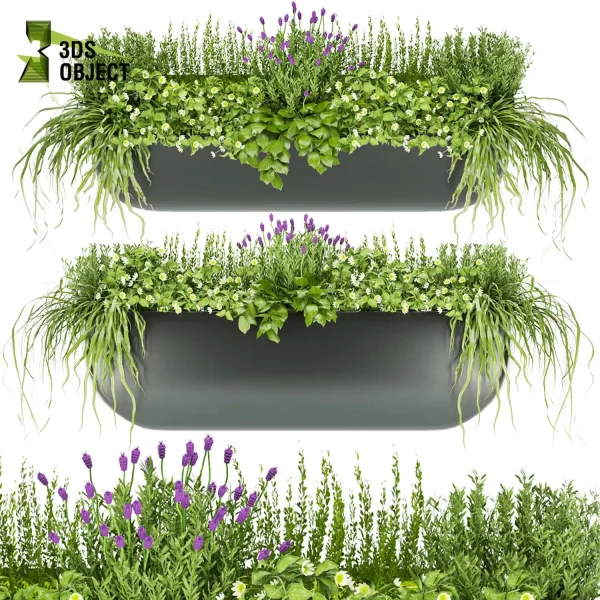3d model plant free Vegetation tree box Foliage Grass lavnder flower Landscape Design Software Foliage Rendering Digital Landscaping 3D Plant Creation Virtual Garden Design Botanical Simulation Plant Visualization Vegetation Modeling cinema 4d 3ds max blender enscape fbx obj Rhino Sketchup lumion