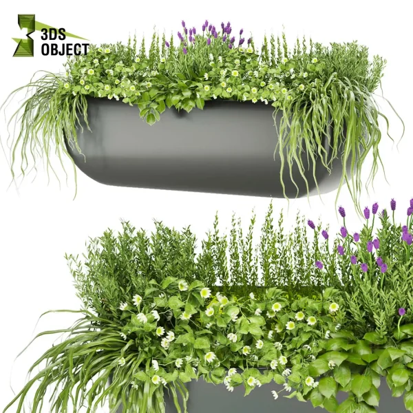 3d model plant free Vegetation tree box Foliage Grass lavnder flower Landscape Design Software Foliage Rendering Digital Landscaping 3D Plant Creation Virtual Garden Design Botanical Simulation Plant Visualization Vegetation Modeling cinema 4d 3ds max blender enscape fbx obj Rhino Sketchup lumion
