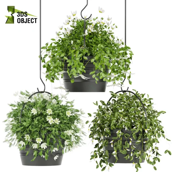 3d model plant hanging free Botanical Models Foliage Assets Sketchup lumion 3D architectural visualization Plant Library