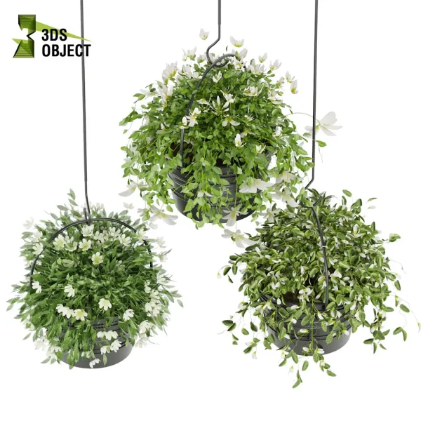 3d model plant hanging free Botanical Models Foliage Assets Sketchup lumion 3D architectural visualization Plant Library