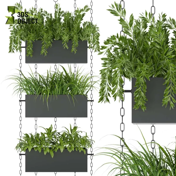3d model plant hanging free Botanical Models Foliage Assets Sketchup lumion 3D architectural visualization Plant Library grass