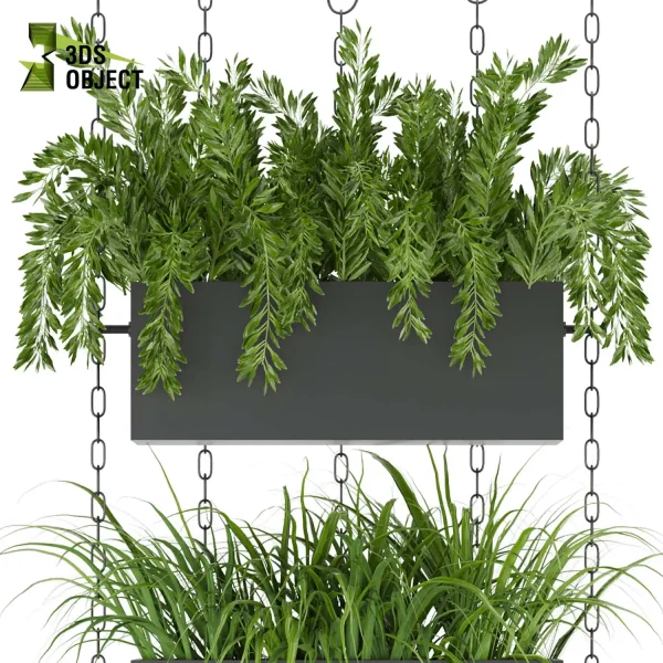3d model plant hanging free Botanical Models Foliage Assets Sketchup lumion 3D architectural visualization Plant Library grass