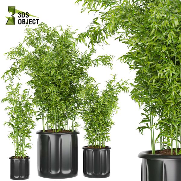 3d model plant free Vegetation tree box Foliage bamboo Botanical Models Greenery Assets Flora Objects Tree Models Shrubbery Assets Grass Models Flower Models cinema 4d 3ds max blender enscape fbx obj Rhino Sketchup lumion low poly