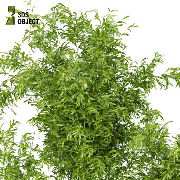 3d model plant free Vegetation tree box Foliage bamboo Botanical Models Greenery Assets Flora Objects Tree Models Shrubbery Assets Grass Models Flower Models cinema 4d 3ds max blender enscape fbx obj Rhino Sketchup lumion