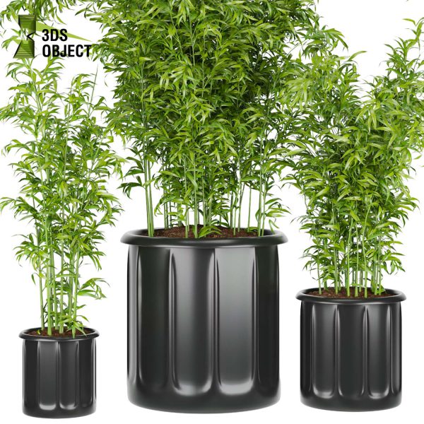 3d model plant free Vegetation tree box Foliage bamboo Botanical Models Greenery Assets Flora Objects Tree Models Shrubbery Assets Grass Models Flower Models cinema 4d 3ds max blender enscape fbx obj Rhino Sketchup lumion