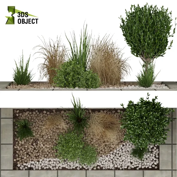3d garden plant models botanical Visualization Landscape Foliage Vegetation Rendering Environment tree Design high poly Grass, tree greenhouse balcony decorative hamedorea indoor bush houseplant high poly cinema 4d 3ds max blender enscpae fbx obj Rhino Sketchup lumion