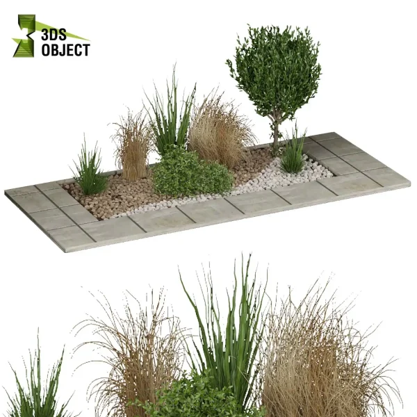 3d garden plant models botanical Visualization Landscape Foliage Vegetation Rendering Environment Design high poly Grass, tree greenhouse balcony decorative hamedorea indoor bush houseplant high poly cinema 4d 3ds max blender enscpae fbx obj Rhino Sketchup lumion
