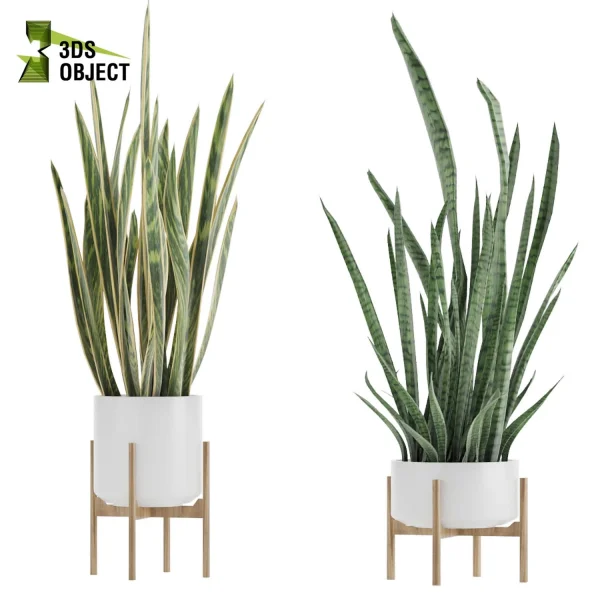 3d model plant pot plant free3dmodel 3d model free download 3d plants free 3d plants