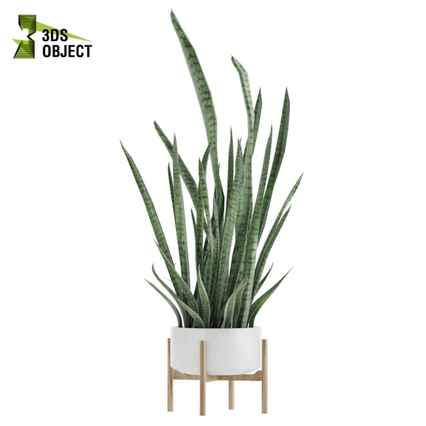 3d model plant pot plant free3dmodel 3d model free download 3d plants