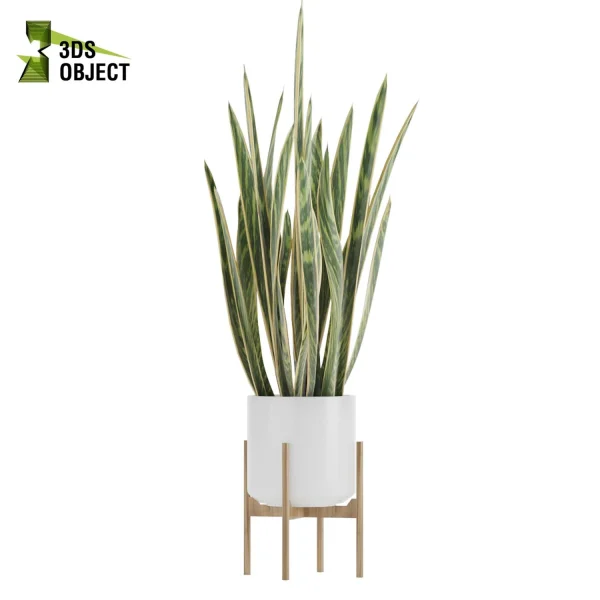 3d model plant free3dmodel 3d model free download 3d plants