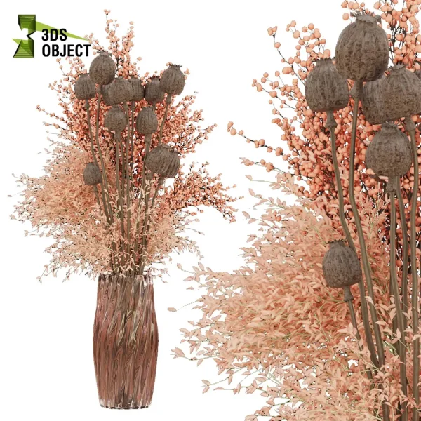 3d bouquet flower grass pampas plant models botanical Visualization Landscape Foliage Vegetation buy purchase Rendering Environment tree Design dried flower high low poly Haworthia concolor cinema 4d 3ds max blender enscpae fbx obj Rhino Sketchup lumion mimosa flower