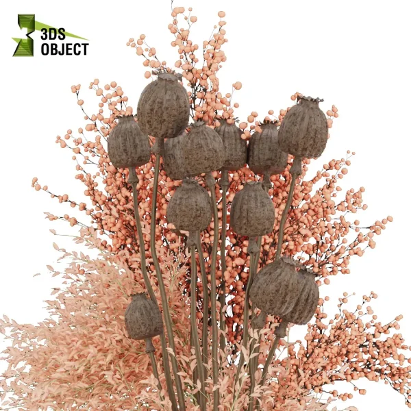 3d bouquet flower grass pampas plant models botanical Visualization Landscape Foliage Vegetation buy purchase Rendering Environment tree Design dried flower high low poly Haworthia concolor cinema 4d 3ds max blender enscpae fbx obj Rhino Sketchup lumion mimosa flower