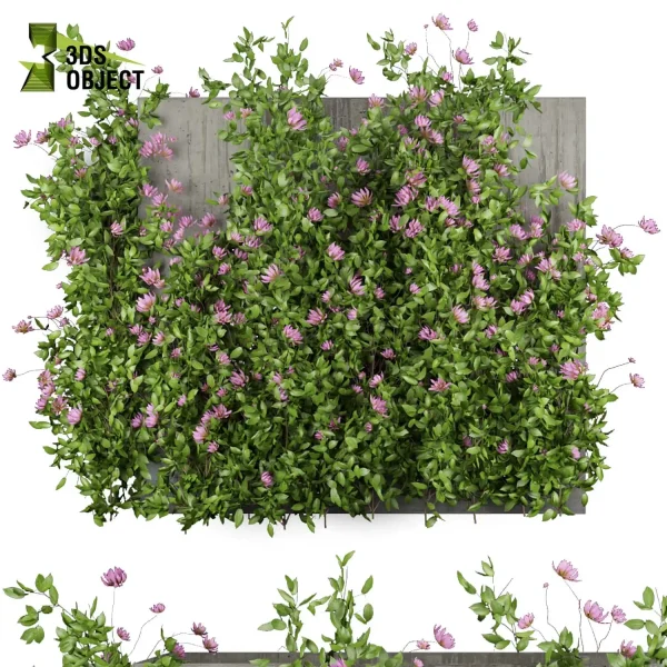 3d creeping ivy plant models botanical Visualization Landscape Foliage Vegetation buy purchase Rendering Environment tree Design high low poly indoor bush houseplant flowerpot