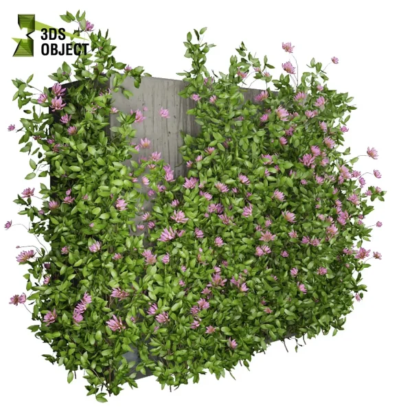 3d creeping ivy plant models botanical Visualization Landscape Foliage Vegetation buy purchase Rendering Environment tree Design high low poly indoor bush houseplant flowerpot cinema 4d 3ds max blender enscpae fbx obj Rhino Sketchup lumion