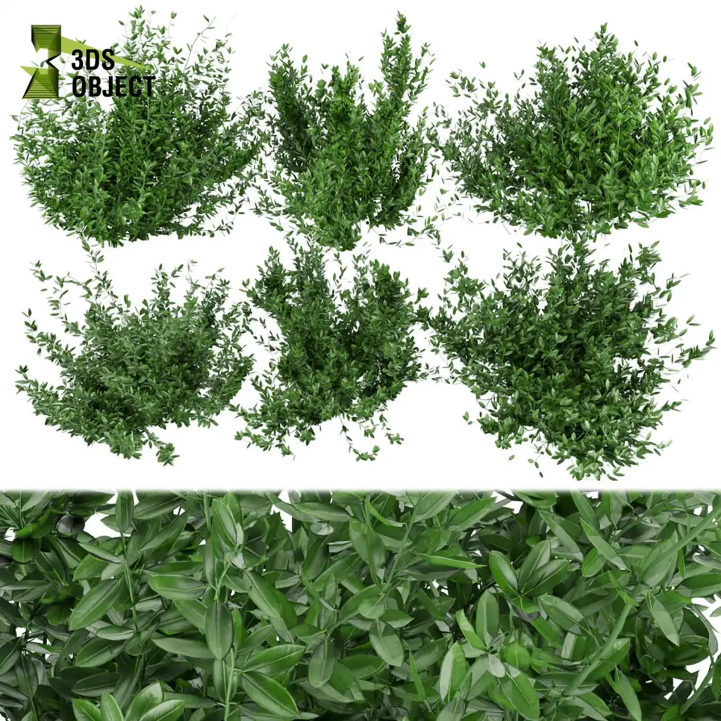3ds max compatible bushes and vegetation
