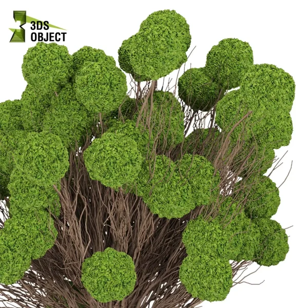 3d bouquet flower grass pampas plant models botanical Visualization Landscape Foliage Vegetation buy purchase Rendering Environment tree Design dried flower high low poly houseplant flowerpot simulator virtualdesign 3drendering rendering 3drender architecture cinema 4d 3ds max blender enscpae fbx obj Rhino Sketchup lumion