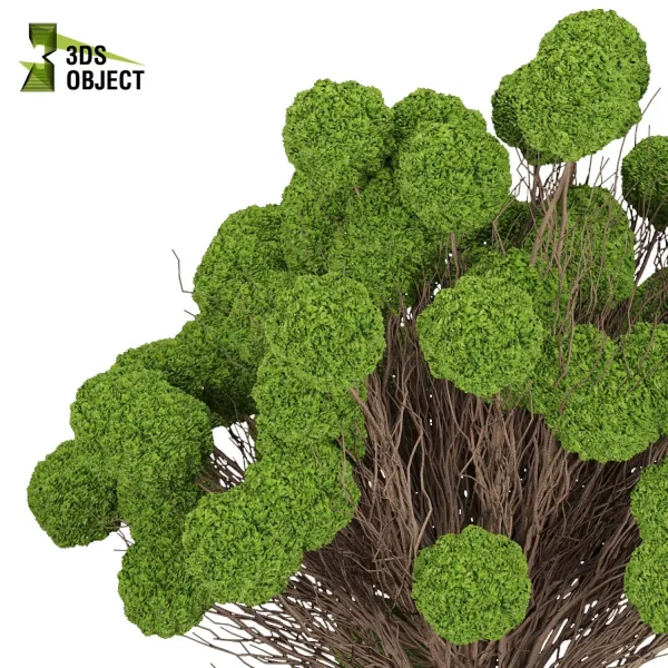 3d bouquet flower grass pampas plant models botanical Visualization Landscape Foliage Vegetation buy purchase Rendering Environment tree Design dried flower high low poly houseplant flowerpot simulator virtualdesign 3drendering rendering 3drender architecture cinema 4d 3ds max blender enscpae fbx obj Rhino Sketchup lumion