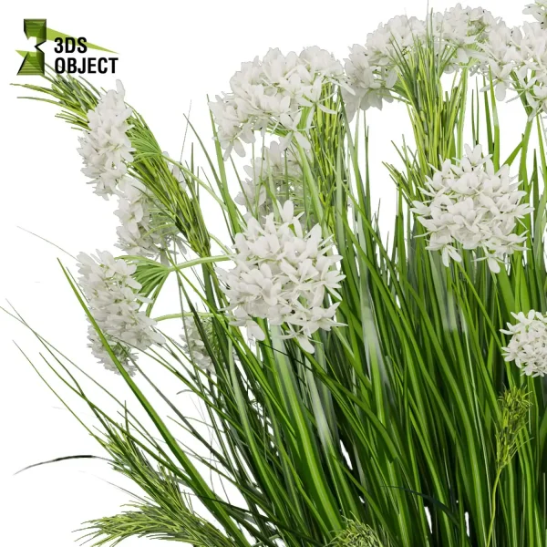 3d bouquet flower grass pampas plant models botanical Visualization Landscape Foliage Vegetation buy purchase Rendering Environment tree Design dried flower high low poly cinema 4d 3ds max blender enscpae fbx obj Rhino Sketchup lumion flower rose architecture interiordesign