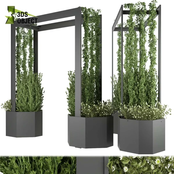 3d creeping ivy plant models botanical Visualization Landscape Foliage Vegetation buy purchase Rendering Environment tree Design high low poly architectural cinema 4d 3ds max blender enscpae fbx obj Rhino Sketchup lumion
