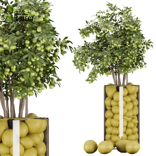 3d bouquet flower grass pampas plant models botanical Visualization Landscape Foliage Vegetation buy purchase Rendering Environment tree Design dried flower high low poly flower cinema 4d 3ds max blender enscpae fbx obj Rhino Sketchup lumion Lemon