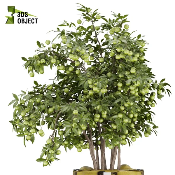 3d bouquet flower grass pampas plant models botanical Visualization Landscape Foliage Vegetation buy purchase Rendering Environment tree Design dried flower high low poly flower cinema 4d 3ds max blender enscpae fbx obj Rhino Sketchup lumion Lemon