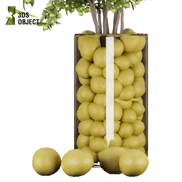 3d bouquet flower grass pampas plant models botanical Visualization Landscape Foliage Vegetation buy purchase Rendering Environment tree Design dried flower high low poly flower cinema 4d 3ds max blender enscpae fbx obj Rhino Sketchup lumion Lemon