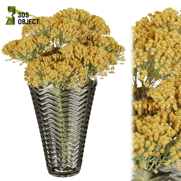 3d bouquet flower grass pampas plant models botanical Visualization Landscape Foliage Vegetation buy purchase Rendering Environment tree Design dried flower high low poly Haworthia concolor cinema 4d 3ds max blender enscpae fbx obj Rhino Sketchup lumion mimosa flower