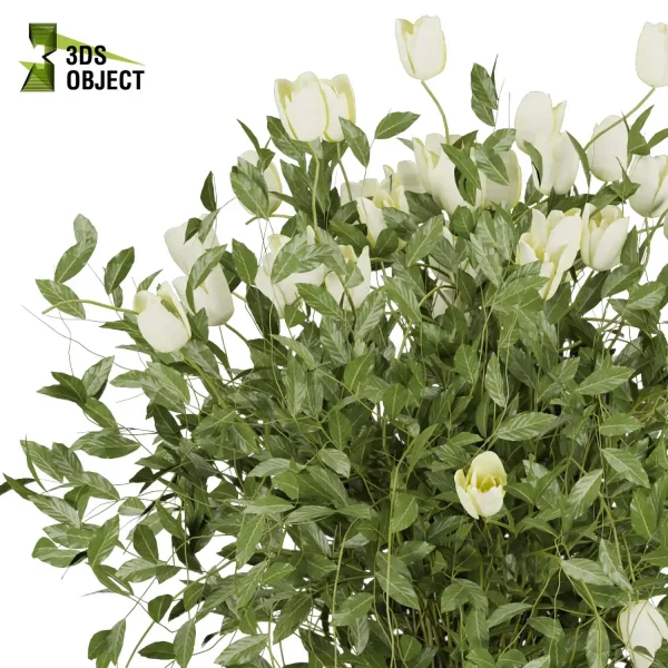 3d bouquet flower grass pampas plant models botanical Visualization Landscape Foliage Vegetation buy purchase Rendering Environment tree Design dried flower high low poly cinema 4d 3ds max blender enscpae fbx obj Rhino Sketchup lumion flower rose