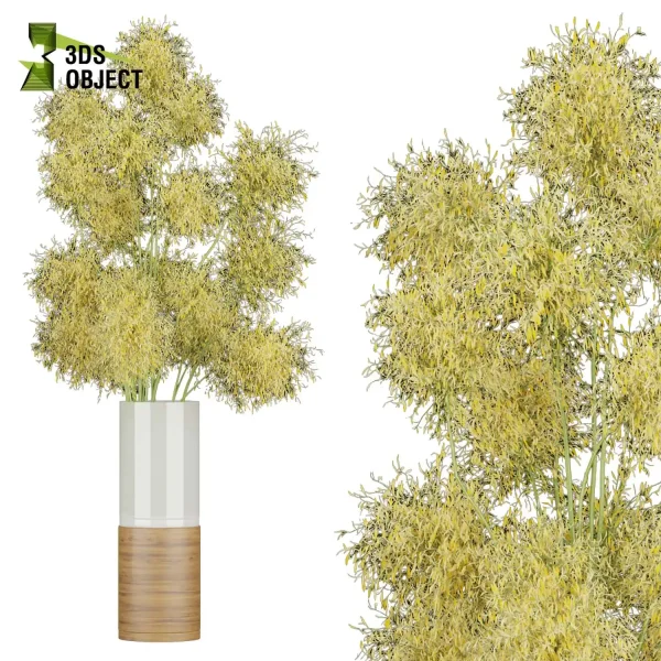 3d bouquet flower grass pampas plant models botanical Visualization Landscape Foliage Vegetation buy purchase Rendering Environment tree Design dried flower high low poly Haworthia concolor cinema 4d 3ds max blender enscpae fbx obj Rhino Sketchup lumion mimosa flower